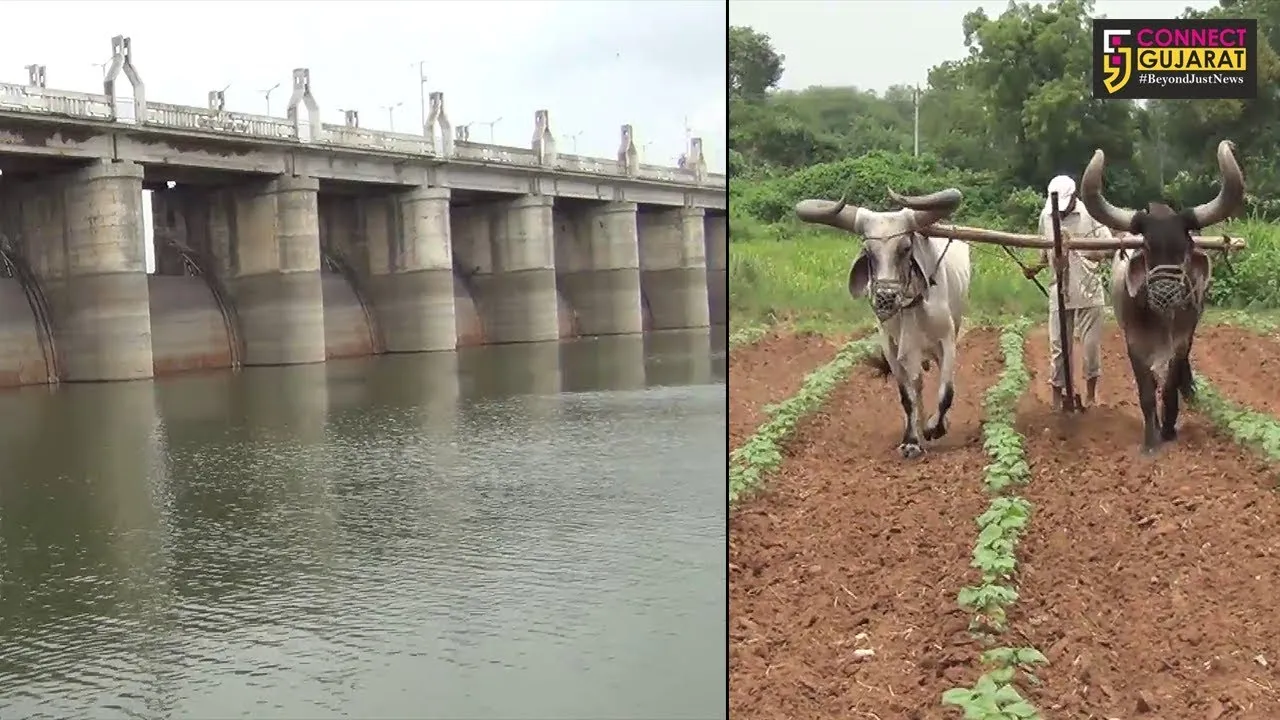 અરવલ્લી : જિલ્લાના જળાશયોમાં માત્ર પીવાના પાણીનો જથ્થો, જગતનો તાત ચિંતામાં
