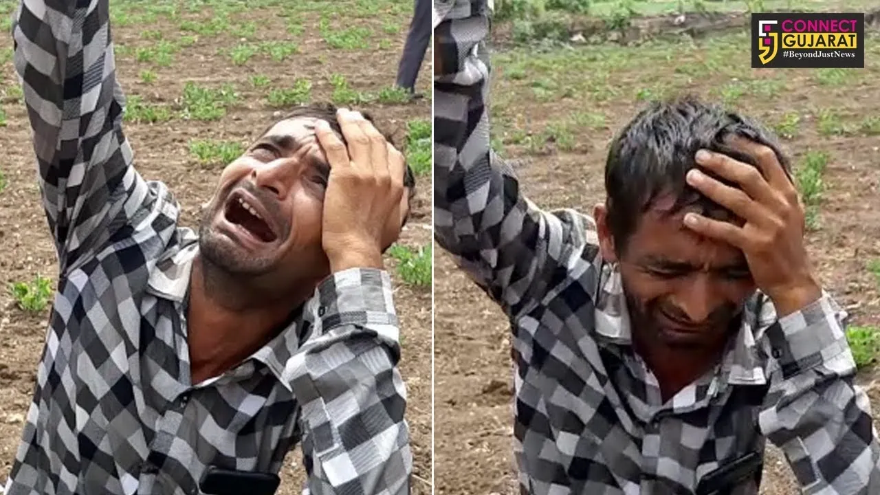 રાજકોટ જિલ્લાના સેવંત્રા ગામે ખેડૂતોએ યોજયું મગફળીનું બેસણું