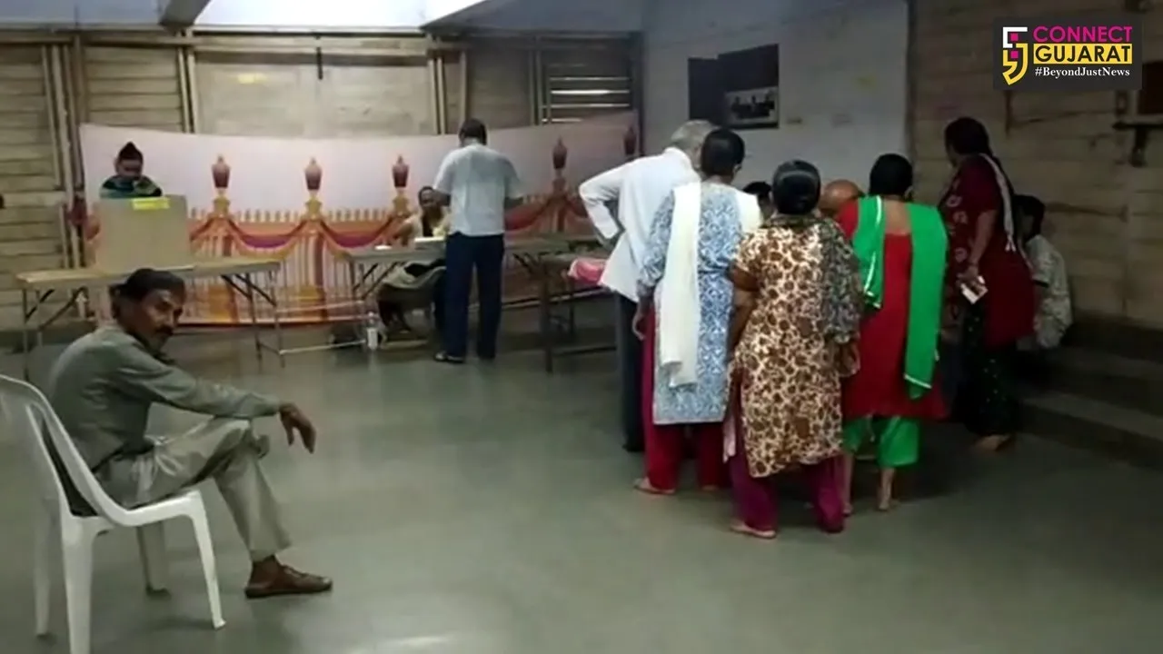 જુનાગઢ: મનપાની ચૂંટણીનું આજે મતદાન, મતદાતાઓની પાંખી હાજરી