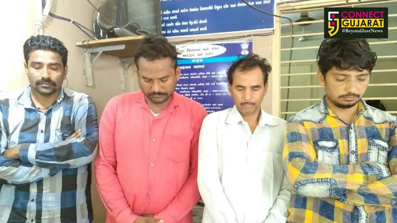 ગૌમાંસના કેસમાં સંકળાયેલા વધુ ચાર આરોપીને અંકલેશ્વર શહેર પોલીસે ઝડપી પાડ્યા