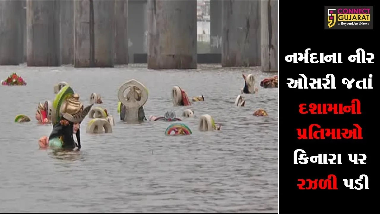 નર્મદાના નીર ઓસરી જતાં દશામાની પ્રતિમાઓ કિનારા પર રઝળી પડી