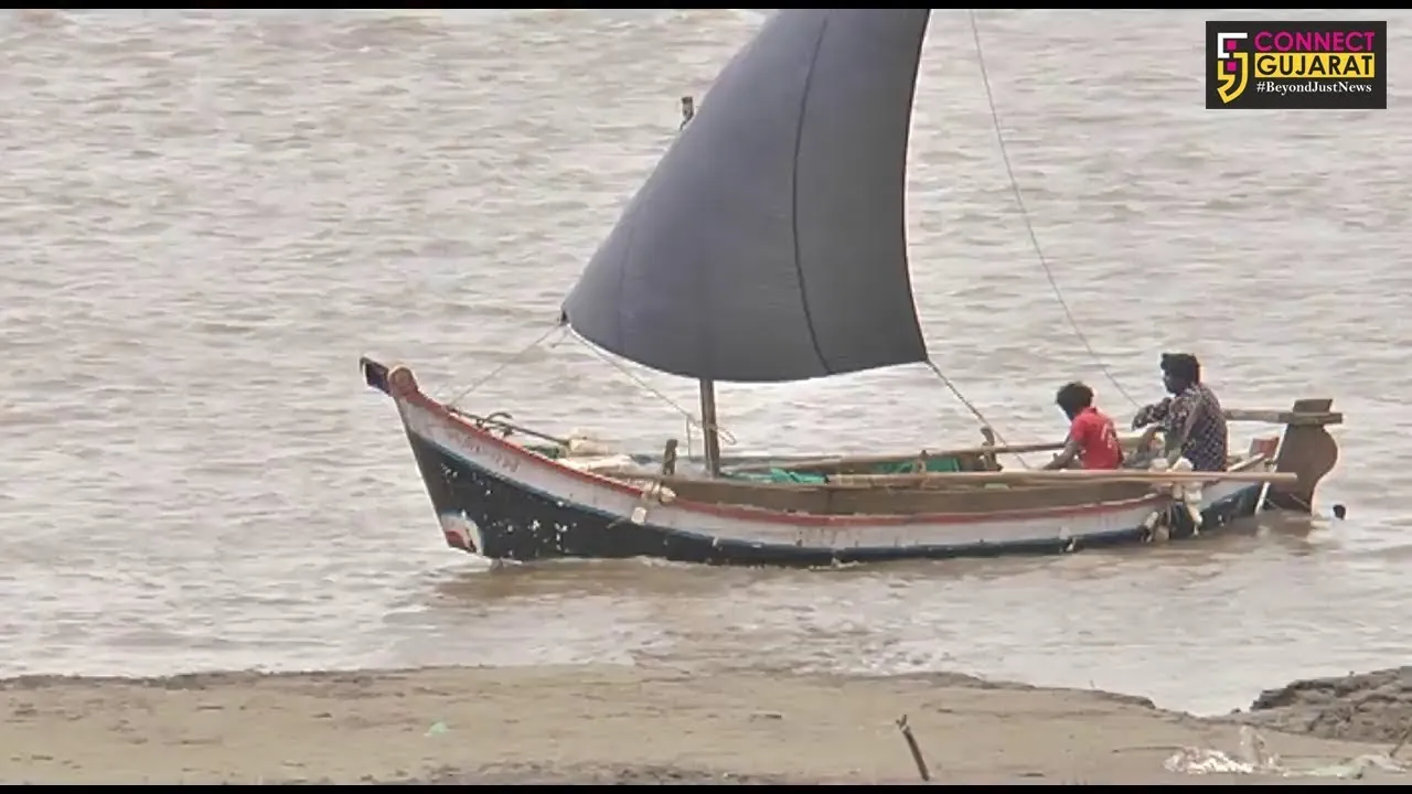 ભરૂચ :  છ વર્ષ બાદ માછીમારોના ચહેરા પર આવી રોનક : ડેમમાંથી પાણી છોડાતા નર્મદા નદીમાં વધી હિલ્સા માછલીની આવક