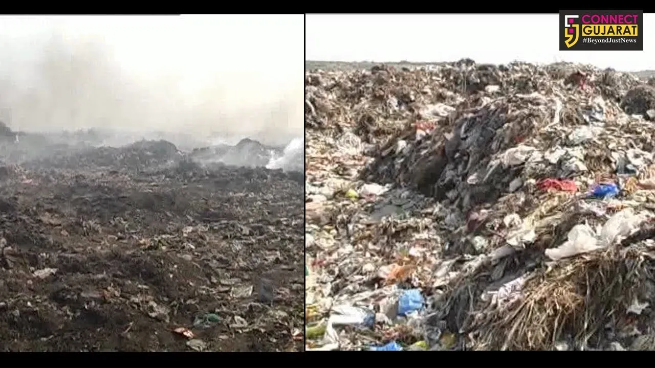 રાજકોટ : નાકરાવાડી ડમ્પીંગ સાઇટના સ્થાને બનશે હરિયાળુ વન
