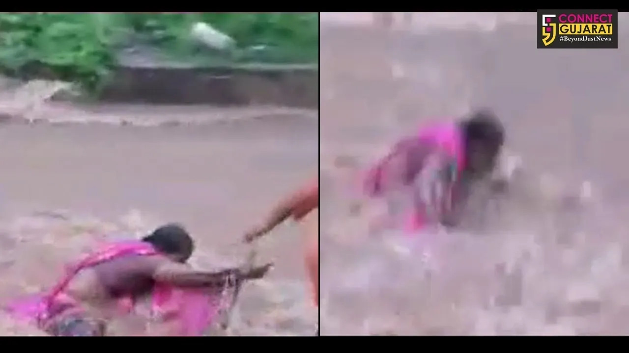 અરવલ્લી : દધાલીયા ગામે રસ્તો ઓળંગી રહેલી મહિલા પાણીમાં ખેંચાઇ