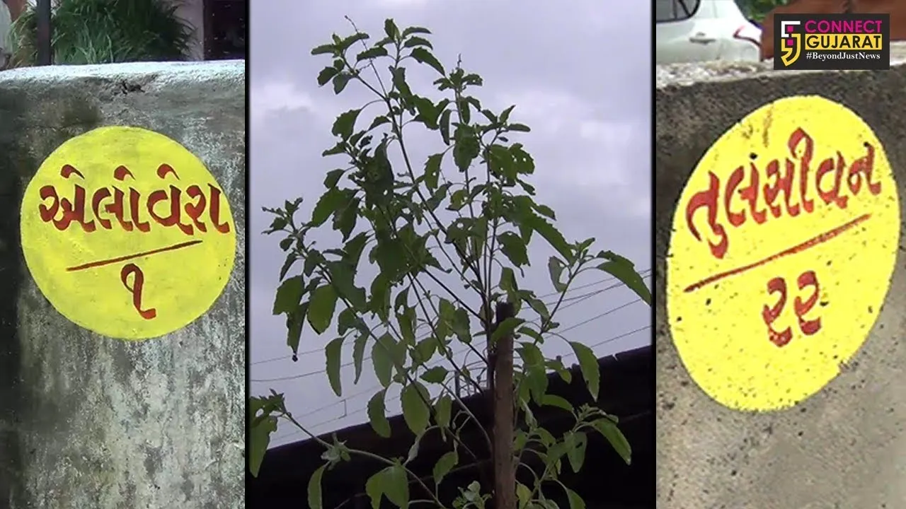 જાણો.. ગુજરાતનું એક એવું ગામ કે જ્યાં રખાયા સોસાયટીના નામ વનસ્પતિઓ ઉપર