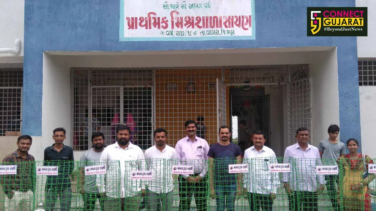 સાચણ ગામે માવતર ટ્રસ્ટ દ્ધારા વૃક્ષા રોપણ