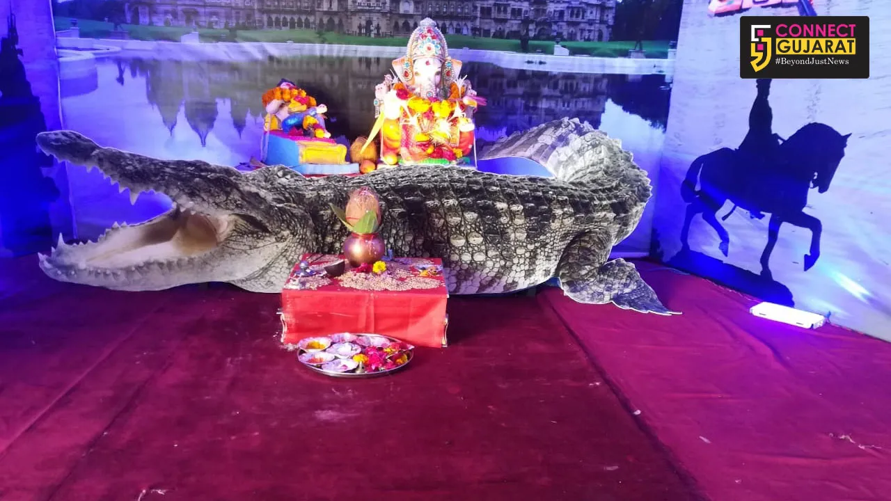 વડોદરા : સ્ટપીગ સ્ટોન પ્લે સ્કુલમાં વિશ્વામિત્રી નદીમાં પુરની થીમ પર ગણેશજીનું ડેકોરેશન 