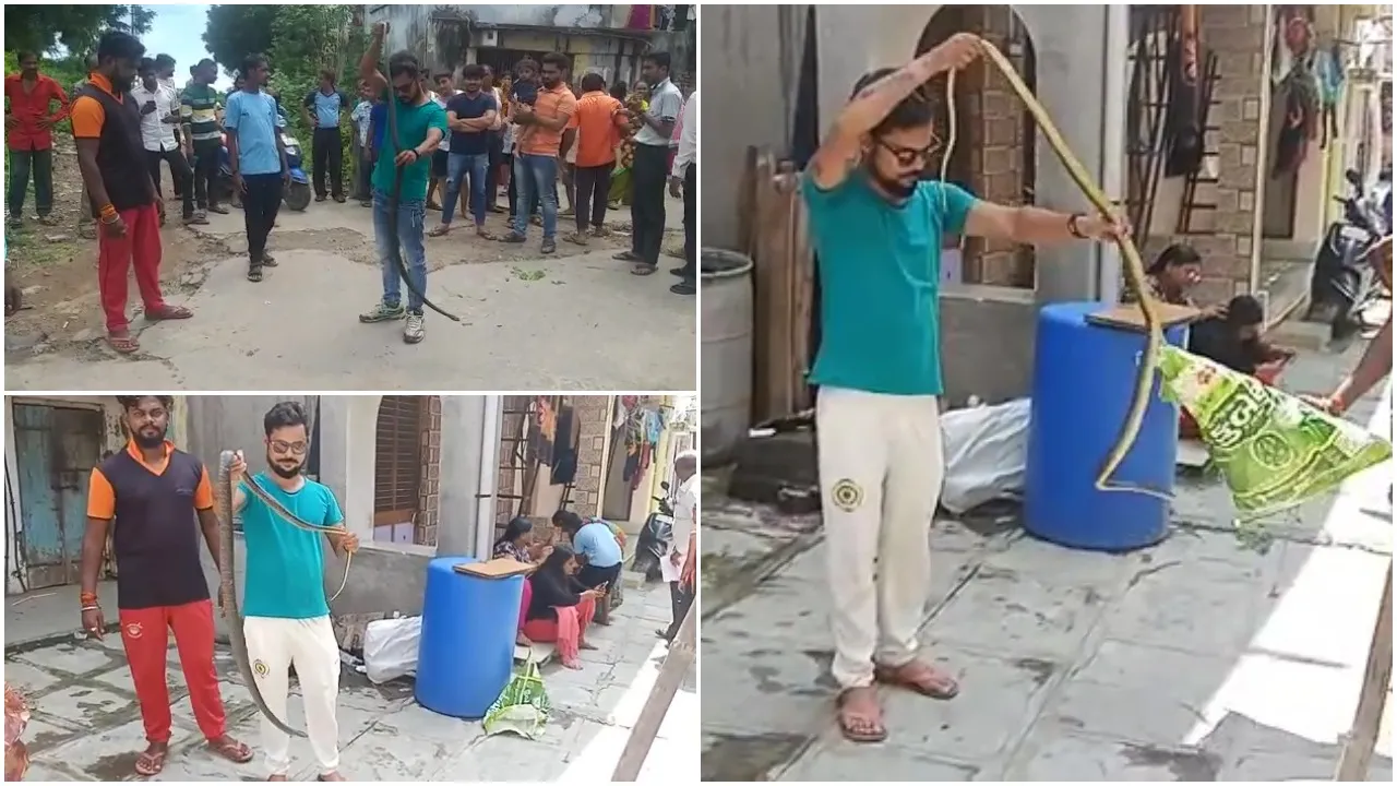 ભરૂચ: વીજ કંપનીની ૪૪૦૦ કેવીની હાઇટેન્સન લાઇન ઉપર ચઢી ગયેલા છ ફૂટના સાપને બચાવાયો