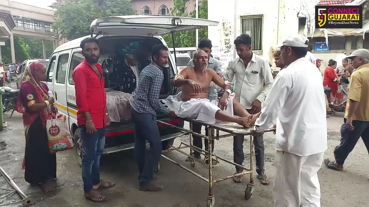 ભાવનગર : વાવડી ગામે દીપડાએ હુમલો કરતાં 3 વ્યક્તિઓને ઇજા, 5 ઘેટાંઓનું કર્યું મારણ