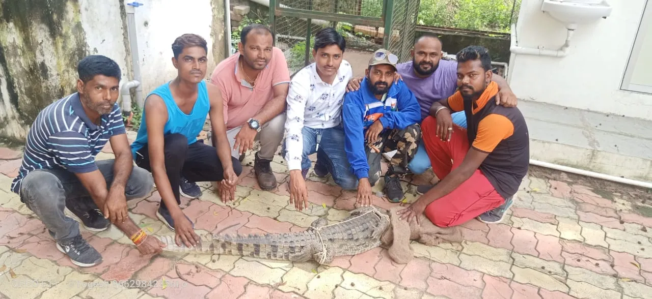 ભરૂચ: પાલેજ નજીક હોટલ પંચવટીમા મગર આવી ચઢતા હાથ ધરાયું રેશ્ક્યુ