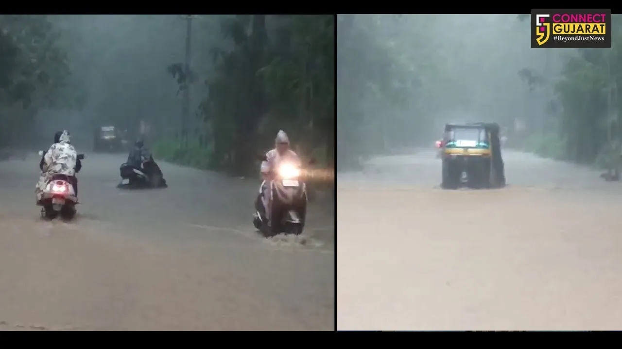 વલસાડ : શહેરમાં વરસ્યો અવિરત વરસાદ, નીચાણવાળા વિસ્તારોમાં ભરાયા પાણી