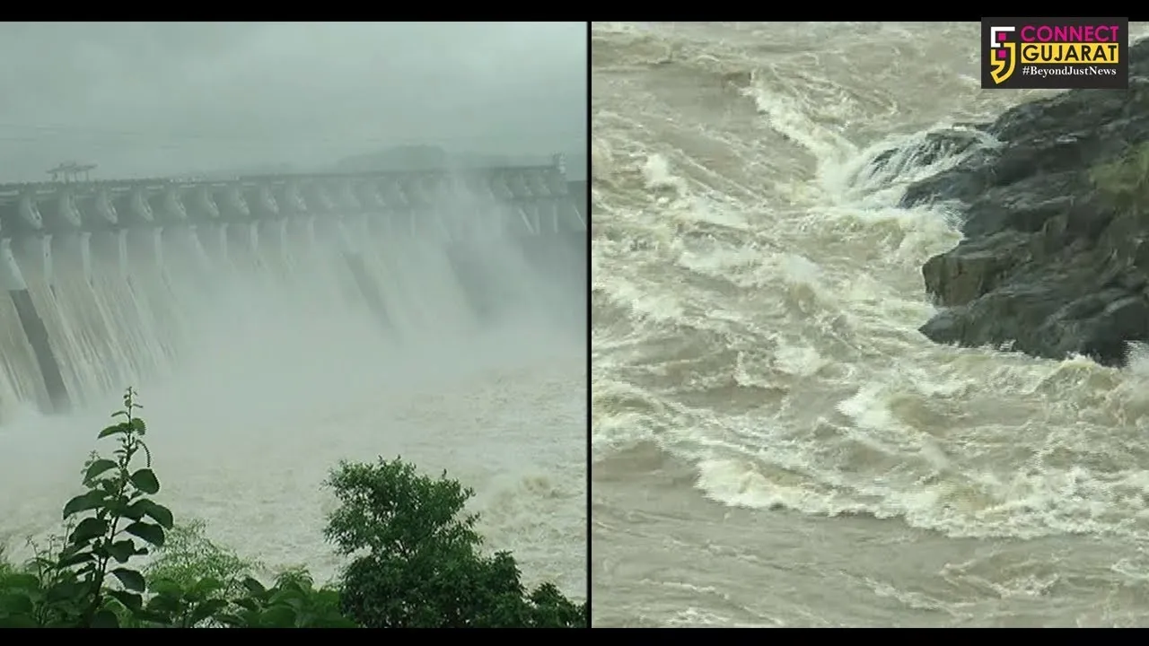 કેવડીયા : મા રેવાનો નિર્મલ પ્રવાહ અને ડેમનો અદભુત નજારો નિહાળો