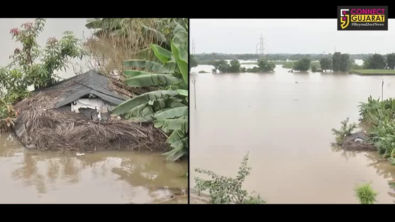 ભરૂચ : જે પાણીએ ખેડૂતોને બનાવ્યાં પાણીદાર તે જ પાણીએ કર્યા પાયમાલ