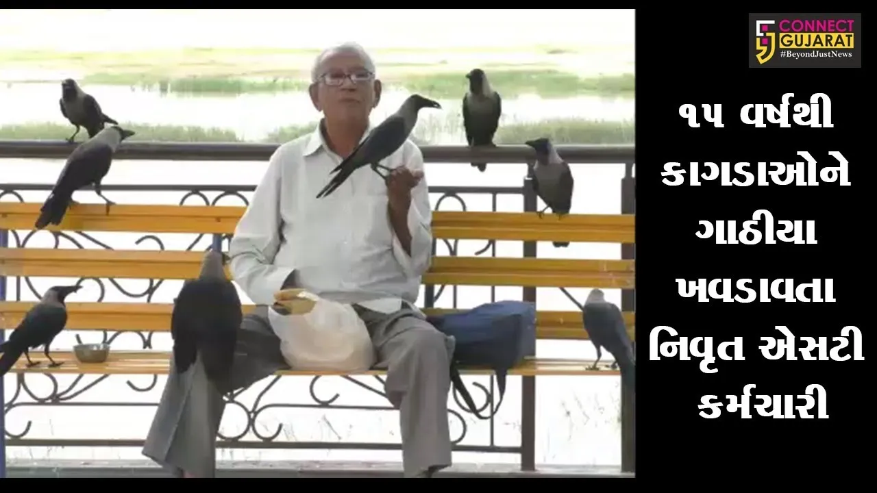 ભુજ : ૧૫ વર્ષથી કાગડાઓને ગાઠીયા ખવડાવતા નિવૃત એસટી કર્મચારી