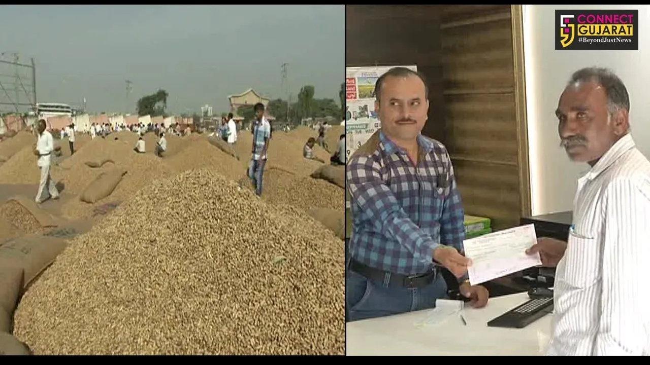 રાજકોટ : બે દિવસથી બંધ માર્કેટયાર્ડ થયું ધમધમતું : ચેકથી પેમેન્ટ આપવાનું શરૂ