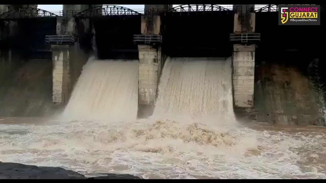 રાજકોટ : વેણુ ડેમના બે દરવાજા ખોલાયા, જિલ્લાના ભાદર સિવાયના ડેમો ઓવરફલો