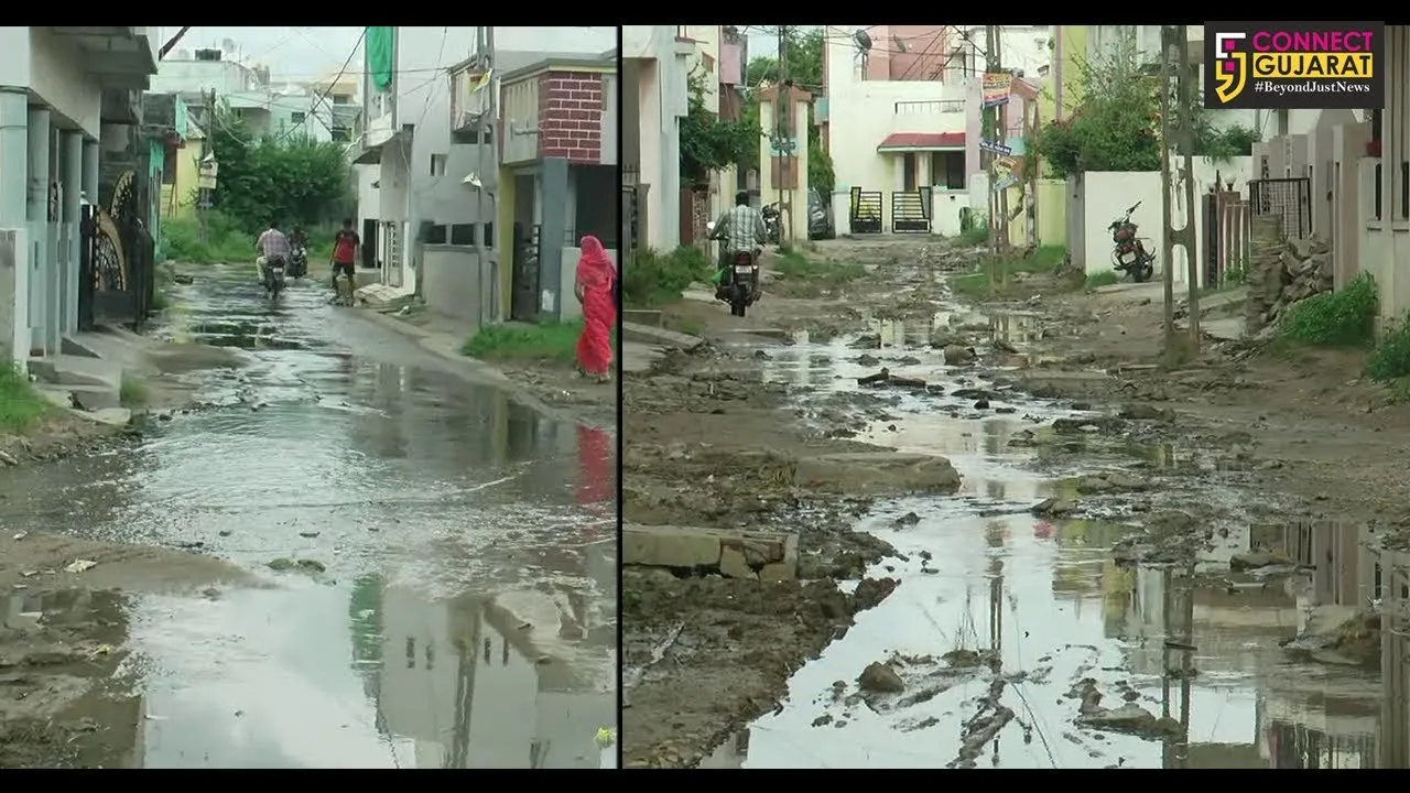 પંચમહાલ : ગોધરા શહેરમાં ગંદકીનું સામ્રાજ્ય, ડેન્ગ્યુ જેવા જીવલેણ રોગનો ભરડો