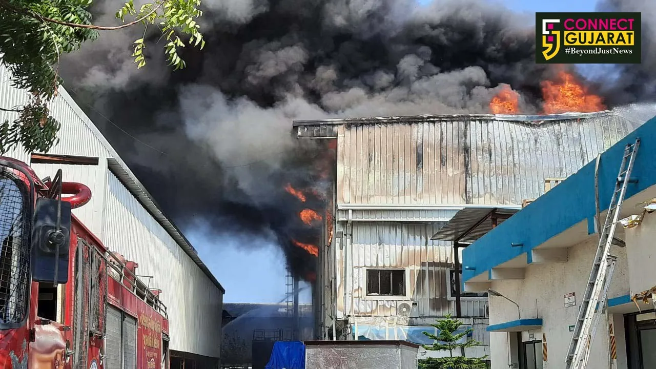 અંકલેશ્વર : એરો ગ્રીનટેક કંપનીમાં ભીષણ આગથી દોડધામ