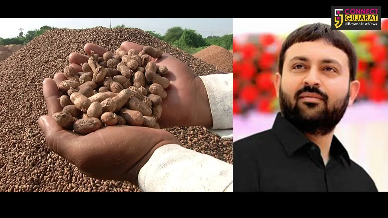 રાજ્યના ૧૪૫ સેન્ટર પર ટેકાના ભાવે ખેડૂતોની મગફળી ખરીદવામાં આવશે : જયેશ રાદડીયા