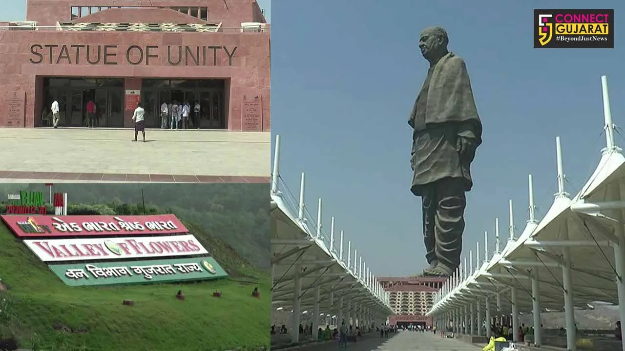 નર્મદા : દિવાળી વેકેશનમાં પ્રવાસીઓ માટે સ્ટેચ્યુ ઓફ યુનિટી બન્યું હોટ ફેવરિટ