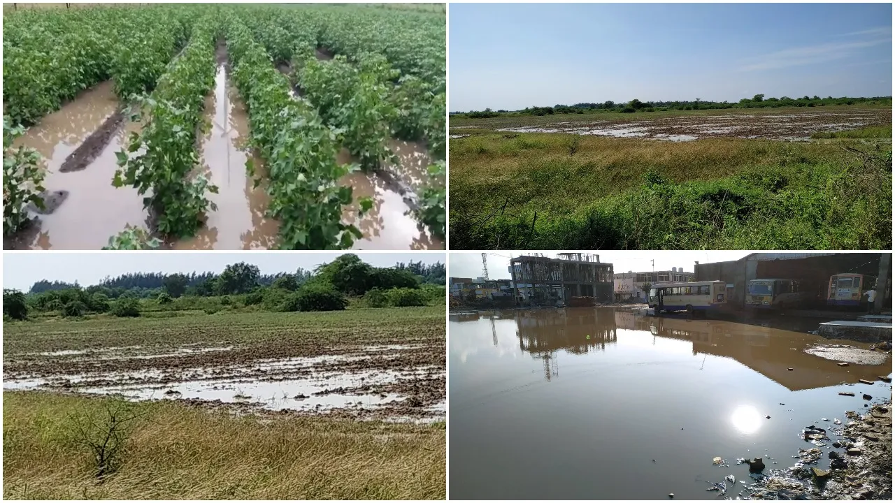 જંબુસર: કમોસમી વરસાદના કારણે ખેતીને નુકશાન