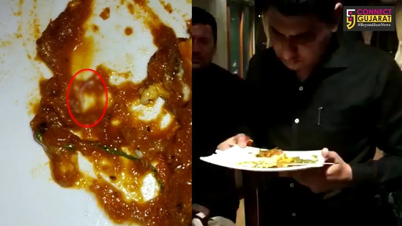 સુરત : હોટલમાં પીરસવામાં આવેલ શાકમાંથી જીવાત નીકળતા ગ્રાહકે મચાવ્યો હોબાળો