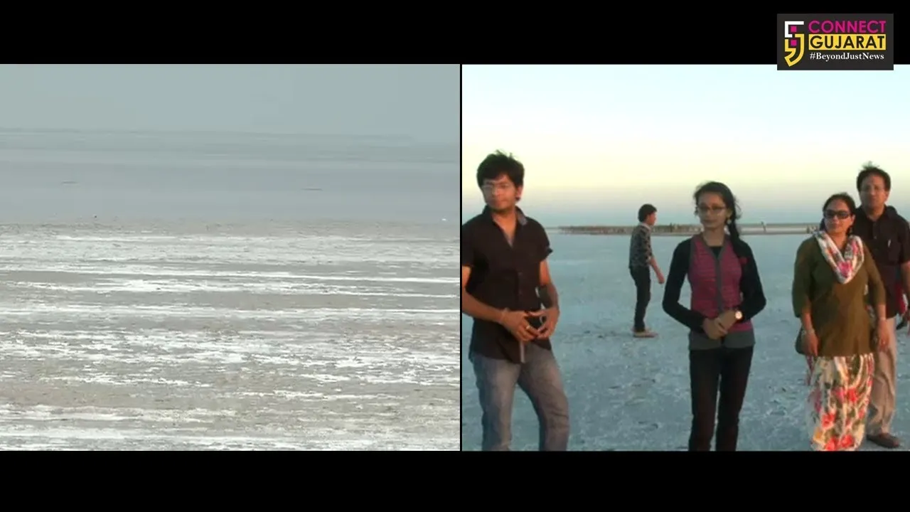 કચ્છ : રણોત્સવ પહેલા રણમાં ભરાયાં છે પાણી, પ્રવાસીઓને મળશે નિરાશા