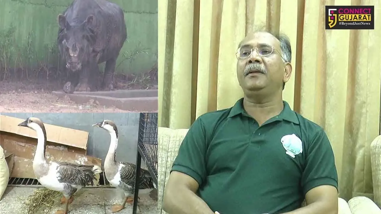 સ્ટેચ્યુ ઓફ યુનિટી પાસે બની રહેલા જંગલ સફારી પાર્કમાં વિદેશી પ્રાણી પક્ષીઓ ઓની એન્ટ્રી