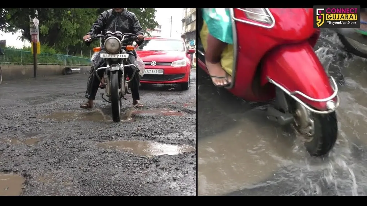 નવસારી : બિસ્માર રસ્તાઓ મુદે પાલિકા સત્તાધીશો અને સીઓ સામે ફરિયાદ નોંધવા અરજી