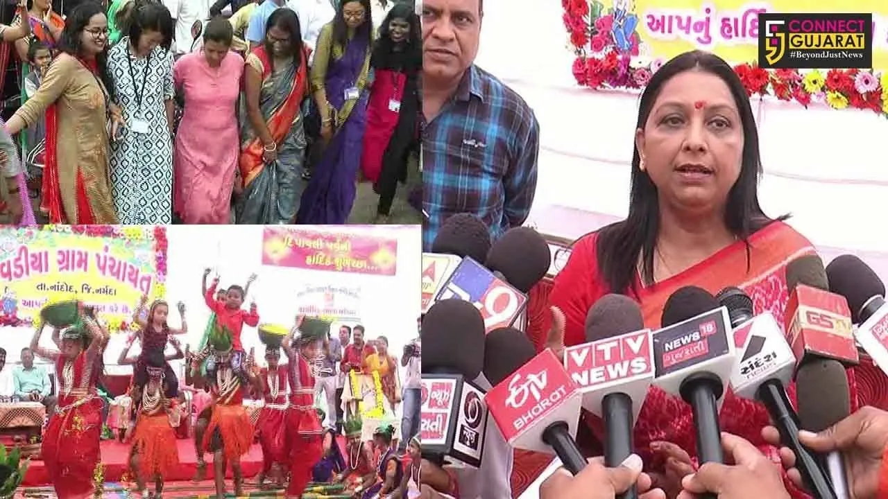 જાણો કયાં સ્થળે સનદી અધિકારીઓએ માણી ટીમલી ડાન્સની મોજ