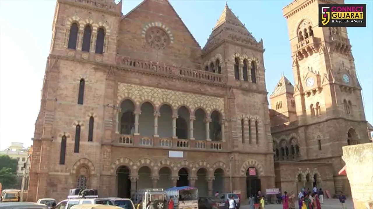 "ક્ચ્છ નહિ દેખા, તો કુછ નહિ દેખા" : દિવાળીના મીની વેકેશનમાં કચ્છ બન્યું પર્યટન સ્થળ