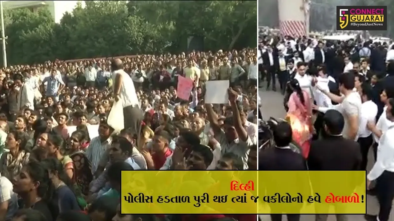 દિલ્હીમાં પોલીસ બાદ વકીલોએ શરૂ કર્યો વિરોધ, રોહિણી કોર્ટની બહાર કર્યા સૂત્રોચ્ચાર