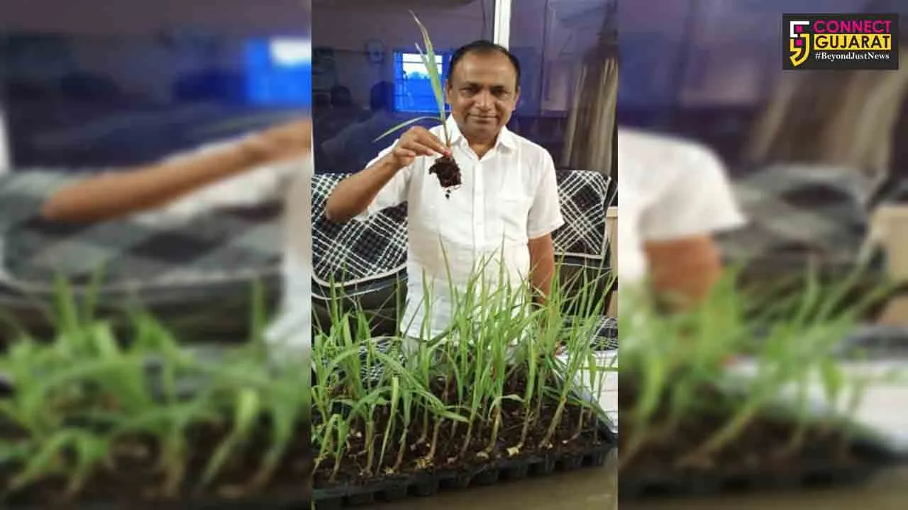 નર્મદા ધારીખેડા સુગરના આ પગલાથી પર્યાવરણની સાથે ખેડૂતો થયા પગભર