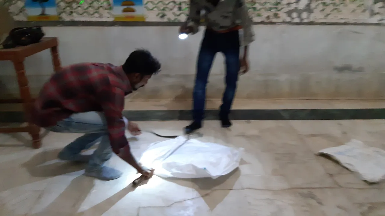 જૂનાગઢ : દિગંબર જૈન રમોસરણ મંદિરમાં સાપ આવી જતા અફરાતફરીનો માહોલ
