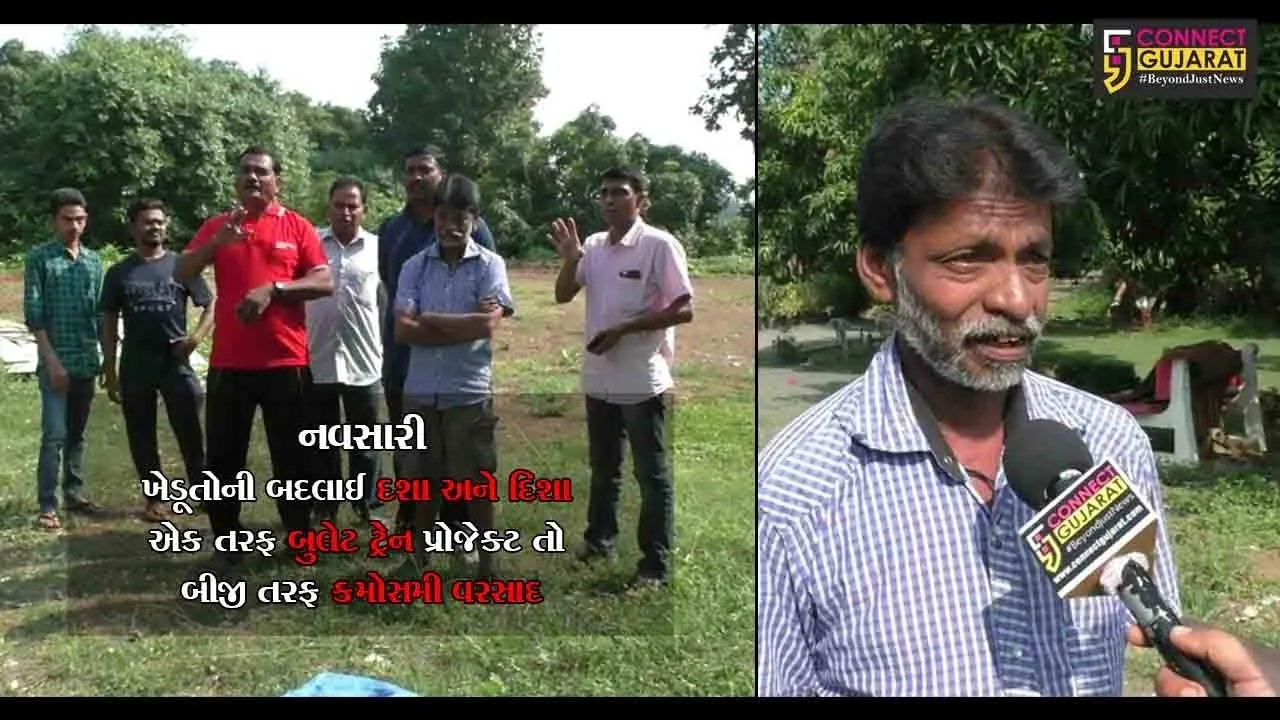 નવસારી: ખેડૂતોની બદલાઈ દશા અને દિશા, એક તરફ બુલેટ ટ્રેન પ્રોજેક્ટ તો બીજી તરફ કમોસમી વરસાદ