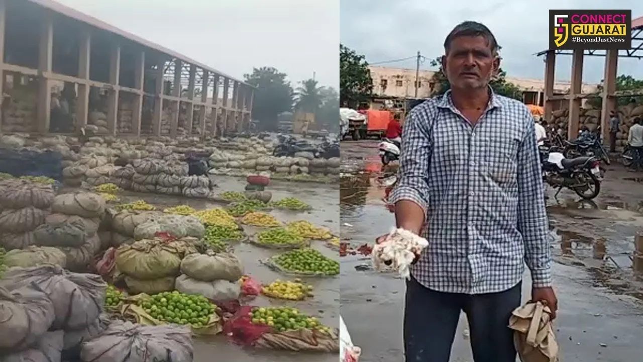ભાવનગર : લીંબુની હરાજી નહિ થતાં ખેડૂતોનો માર્કેટીંગ યાર્ડમાં ચકકાજામ