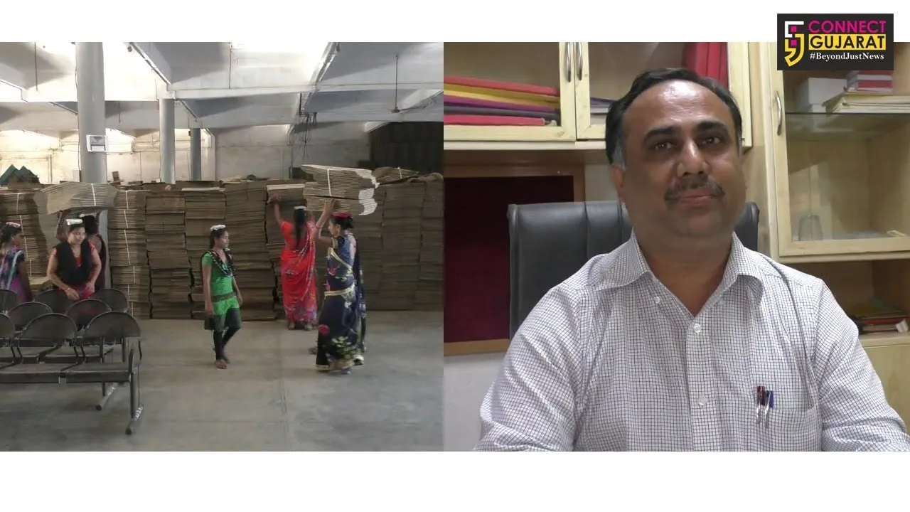 નવસારી : અમલસાડી ચીકુ આ વર્ષે બન્યાં “ફીકા”, માવઠાથી ચીકુનો પાક પડ્યો ખરી