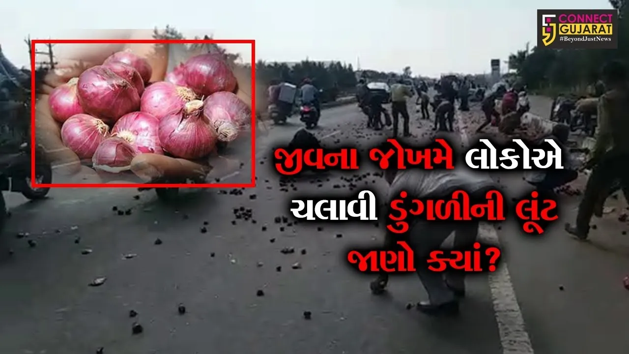 રાજકોટ : જીવના જોખમે લોકોએ ચલાવી ડુંગળીની લૂંટ, જુઓ ગોંડલ હાઇવે પરના દ્રશ્યો