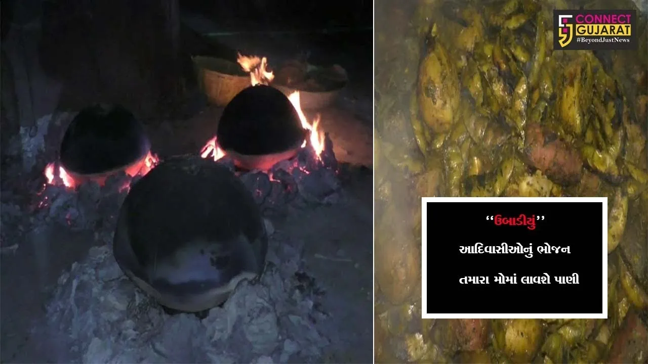 નવસારી : આદિવાસીઓનું ભોજન “ઉબાડીયું”, શિયાળામાં લોકોની પહેલી પસંદ