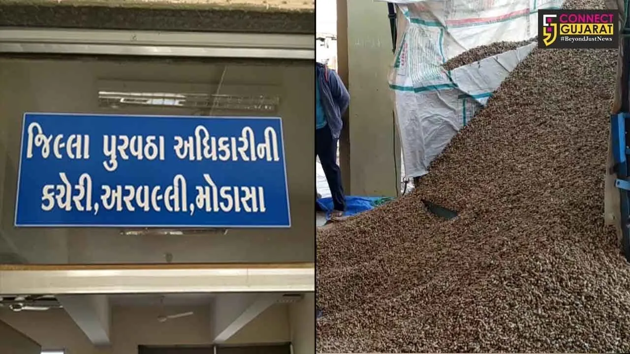 અરવલ્લી : ખેડૂતોએ ટેકાના ભાવે મગફળીનો તો વેચી, પણ જુઓ તેમની સાથે શું થઇ રહયું છે