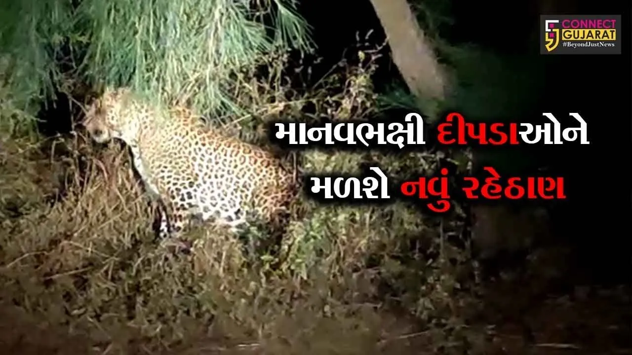 દક્ષિણ ગુજરાતમાં દીપડાઓ માટે બે સફારી પાર્ક બનશે : વન મંત્રી ગણપતસિંહ વસાવા