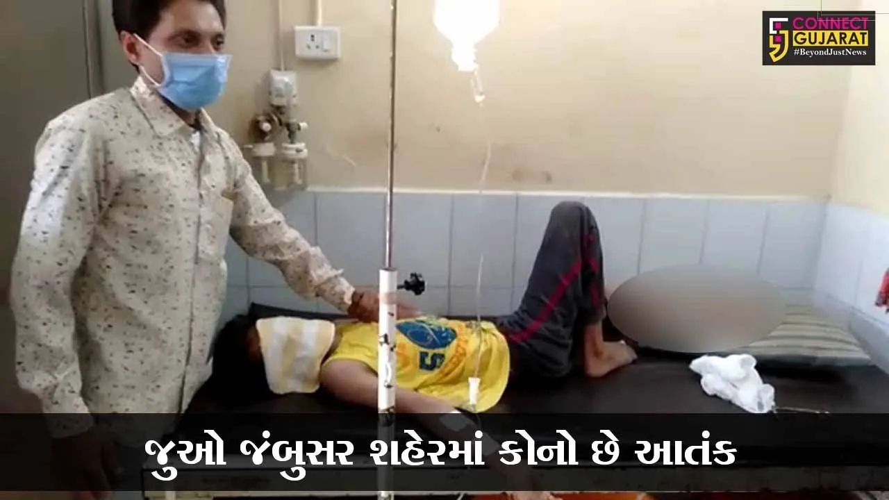 ભરૂચ : જંબુસરમાં કપિરાજે કર્યો કિશોર પર હુમલો, લોકોમાં ભયનો માહોલ