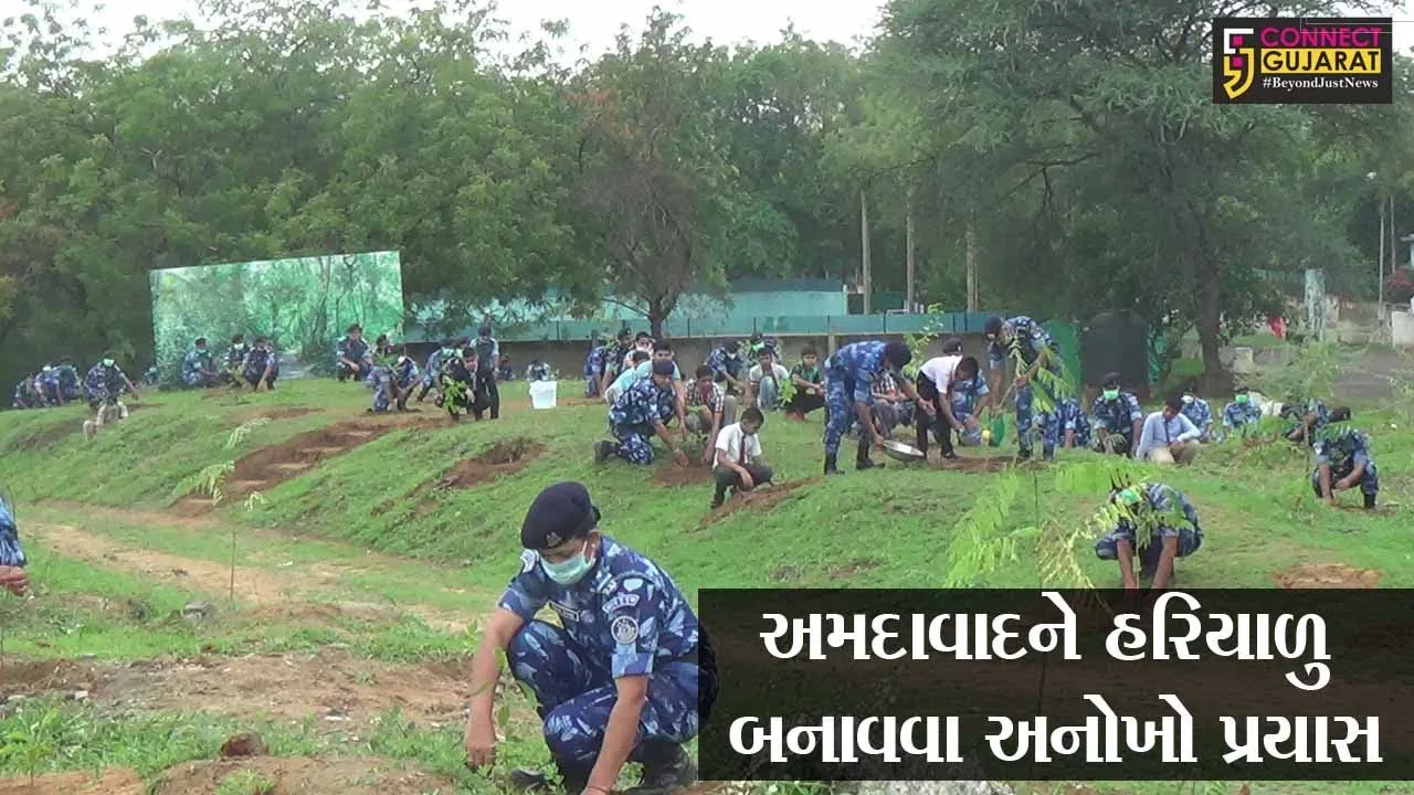 અમદાવાદ : ફાસ્ટ ટાસ્ક ફોર્સ દ્વારા 2 હજારથી વધુ રોપાઓનું કરાયું વાવેતર