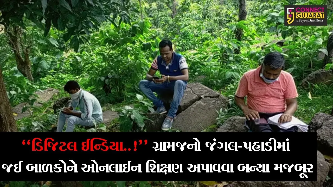 વલસાડ : “ડિજિટલ ઈન્ડિયા..!”, સિલધાના ગ્રામજનો જંગલ-પહાડી વિસ્તારમાં જઈ બાળકોને ઓનલાઈન શિક્ષણ અપાવવા બન્યા મજબૂર