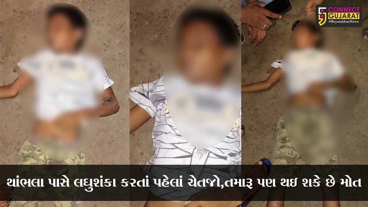 ભરૂચ : વીજથાંભલા પાસે લઘુશંકા કરી રહેલાં બાળકનું મોત, જુઓ કયાં વિસ્તારમાં બની ઘટના