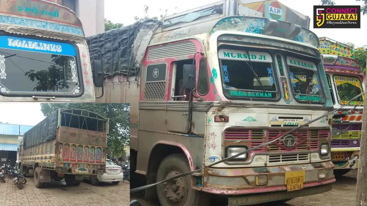 નર્મદા  : ડેડીયાપાડાના નિવાલદા મિશન ચોકડી ખાતે થી ભેંસ અને પાડા ભરેલી ચાર ચાર ટ્રકો ઝડપાઇ