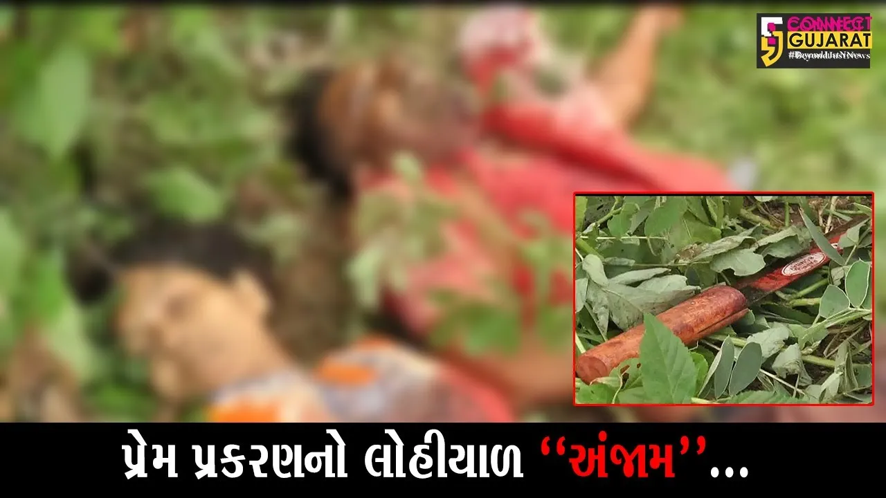 ભરૂચ : સેફાયર એપાર્ટમેેન્ટ નજીકથી મળ્યાં બે મૃતદેહ, પ્રેમીએ પહેલાં પ્રેમિકાની હત્યા કરી પોતે આપઘાત કર્યાની આશંકા
