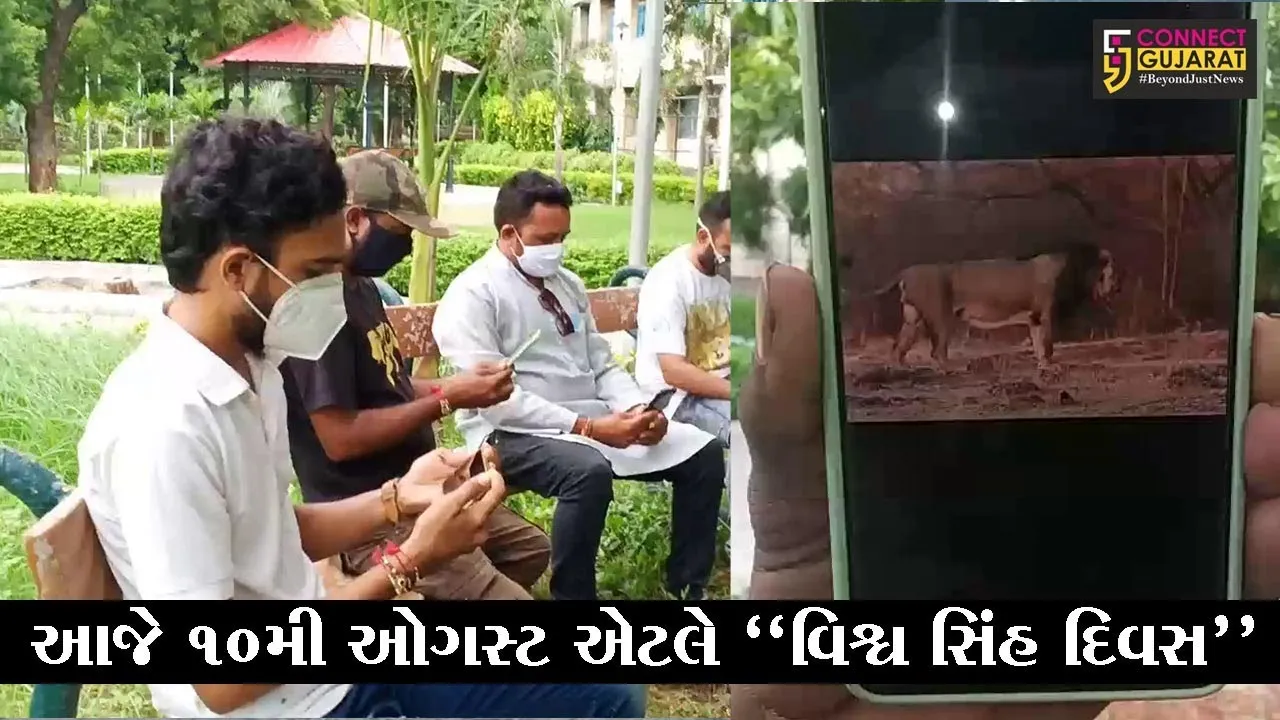 ભાવનગર : આજે 10મી ઓગસ્ટ એટલે "વિશ્વ સિંહ દિવસ", જુઓ રાજહંસ નેચર ક્લબ દ્વારા કેવી રીતે કરાઈ ડિજિટલ ઉજવણી..!