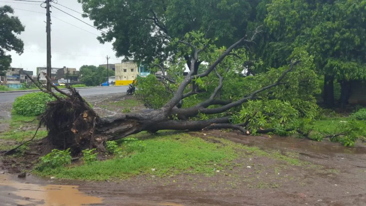 ભરૂચ : નેત્રંગ તાલુકામાં મેઘમહેર યથાવત, છેલ્લા 24 કલાકમાં 5 ઇંચથી વધુ વરસાદ ખાબક્યો...