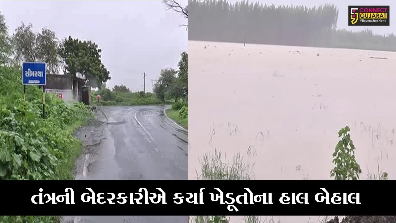ભરૂચ :  આમોદના સીમરથા ગામે ખેતરો પાણીમાં ગરકાવ, જુઓ ખેડુતોએ કોની પર લગાવ્યા આરોપ